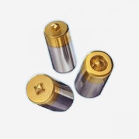 Robertson Screw Mold