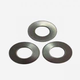 Spring Washers