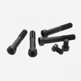 Hexagon Socket Head Cap Screws