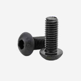 Botton Head Screw