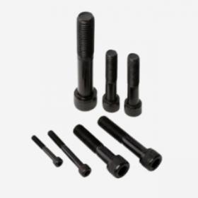 Hexagon Socket Head Cap Screws