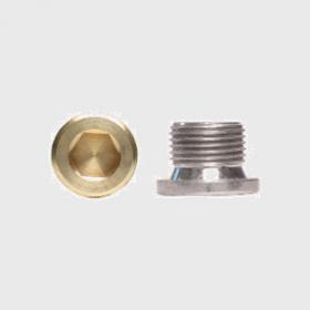 Hexagon Socket Plugs