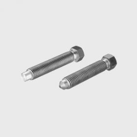Hexagon Set Screws with Small Hexagon