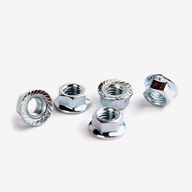 Hex Flange Nuts