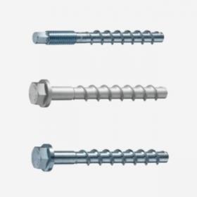 Adhesive Screw Anchors