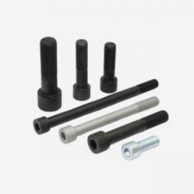 Hot Forging Hex Socket Screws