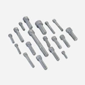 Standard Bolts