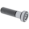 Hexagon Socket Head Cap Screws With Low Head With Reduced Loadability