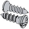 Metal Bone Screw with Cross-recessed Head, Thread Form HD [Figure 5]