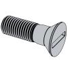 Slotted Countersunk Head Screws for Structural Steel Bolting for Supply with or Without Nuts