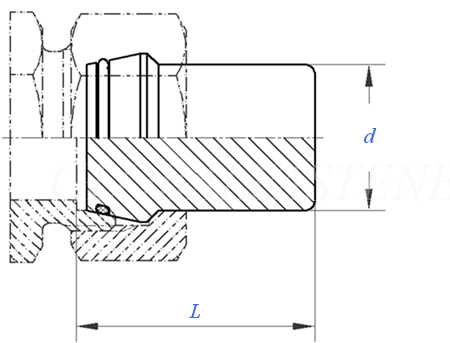 ISO 8434-1 (PL) - 2018Plug with O-ring