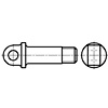 Screwed Pin with Eye and Collar - For Large-size Circular Shackle