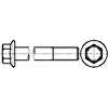 Hexagon Flange Bolt with Extended Length