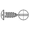 Slotted Truss Head Tapping Screws - Type AB Thread Forming [Table F1]