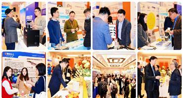 聚焦绿氢电解槽和绿色甲醇，CGH2024中国绿氢大会7月4日在杭开幕